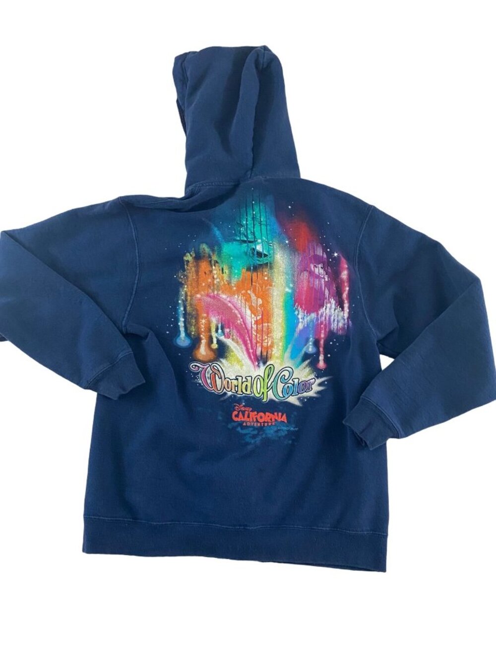 Walt Disney World Unisex World Of Color Full Zip Hoodie - Small